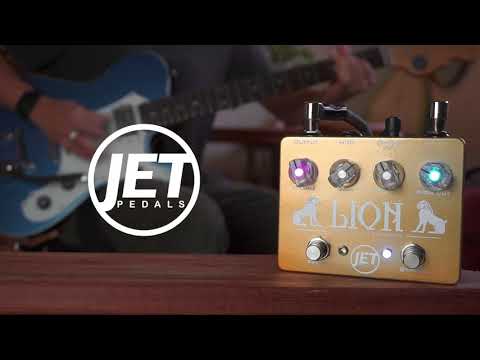 Lion Distortion
